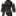 Zaevier
